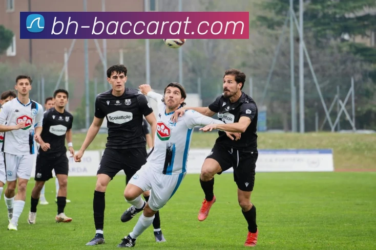 百家乐官网的企业始终坚持高标准、严要求，从源头控制产品质量。通过精益求精的品质管理，确保每一个产品都能令客户满意。百家乐平台百家乐集团官网服务体系