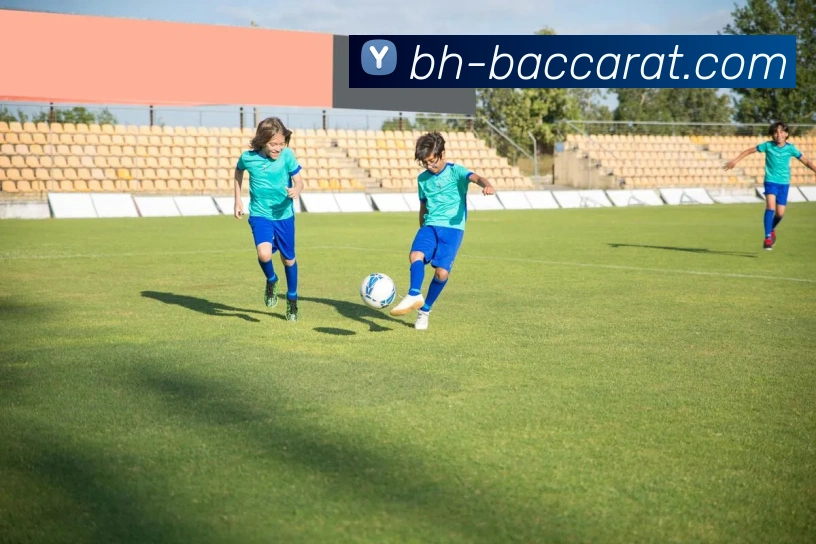 百家乐官网全站App